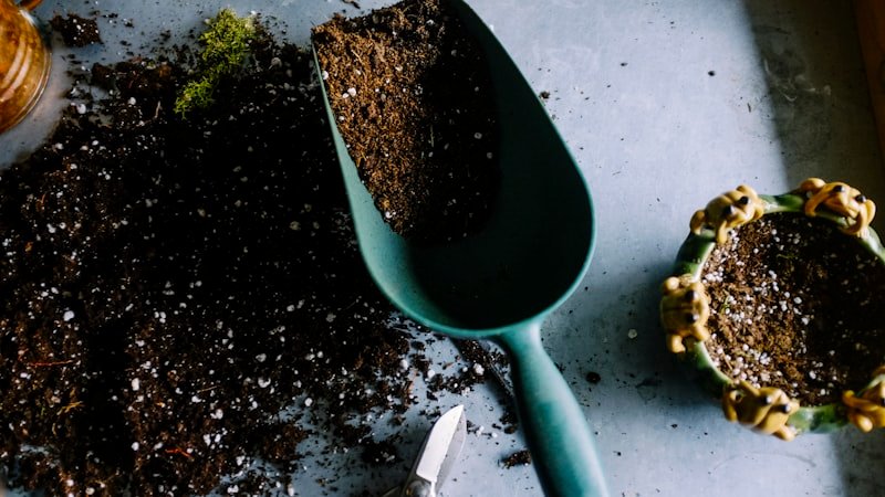 Beginner Vegetable Garden Guide: How to Start Growing Food in Any Backyard or Container