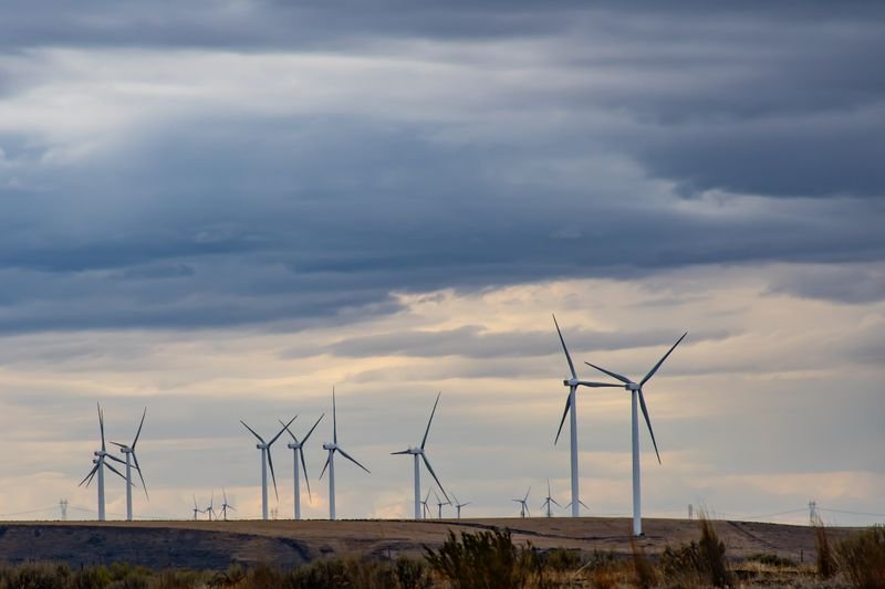 Solar Financing Options Compared: Cash, Loans, Leases, and PPAs